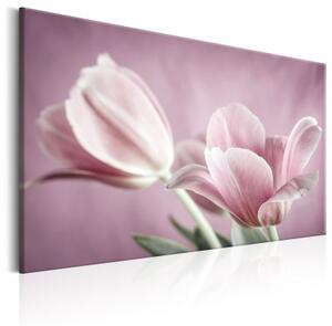 Obraz - Romantic Tulips