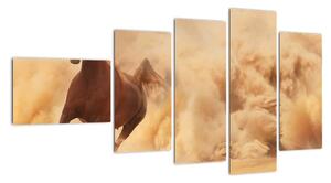 Cválající kůň - obraz (110x60cm)
