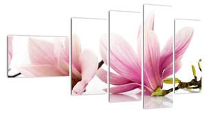 Květina - obraz (110x60cm)