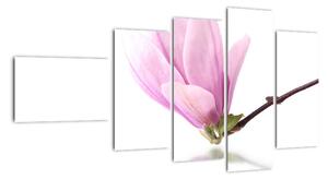 Květ - obraz (110x60cm)