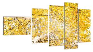 Podzimní listí - moderní obraz (110x60cm)
