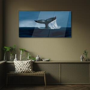 Obraz na skle Obraz na skle Velryba zvířat moře