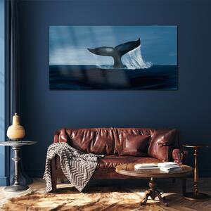 Obraz na skle Obraz na skle Velryba zvířat moře