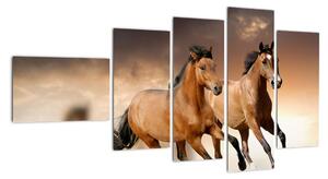 Koně - obraz (110x60cm)