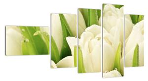 Detail tulipánů - obraz (110x60cm)