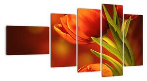 Obraz tulipánů (110x60cm)