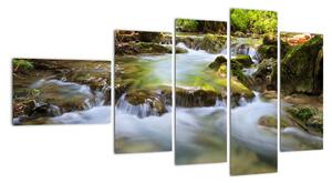 Řeka v lese - obraz (110x60cm)