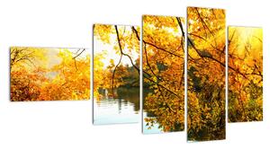 Podzimní krajina - obraz (110x60cm)