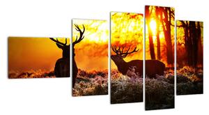Fotka jelenů - obraz (110x60cm)