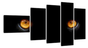 Zvířecí oči - obraz (110x60cm)