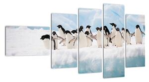 Tučňáci - obraz (110x60cm)