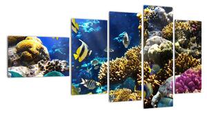 Podmořský svět - obraz (110x60cm)