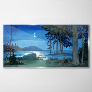 Obraz na skle Obraz na skle Malování lesní mořská noc