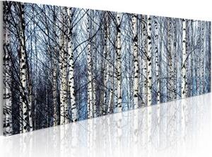Obraz - White birches