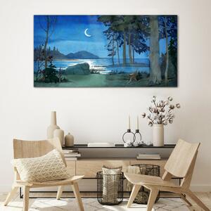 Obraz na skle Obraz na skle Malování lesní mořská noc