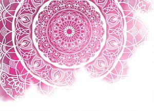 Malvis ® Tapeta Růžová mandala Vel. (šířka x výška): 144 x 105 cm