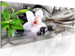 Obraz - Zen composition: bamboo, orchid and stones
