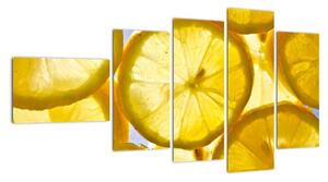 Plátky citrónů - obraz (110x60cm)