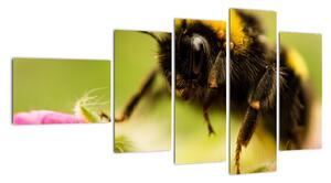 Včela - obraz (110x60cm)
