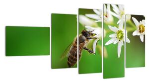 Fotka včely - obraz (110x60cm)