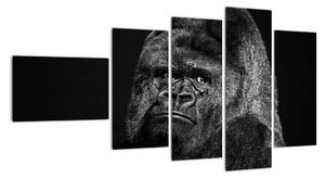 Obraz opice (110x60cm)