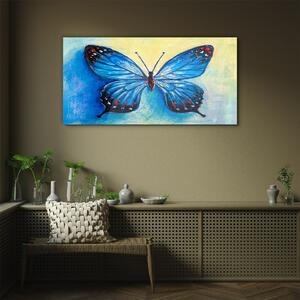 Obraz na skle Obraz na skle hmyz červa motýl