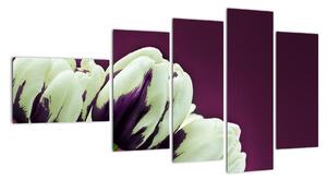 Makro tulipánů - obraz (110x60cm)