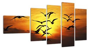 Obraz letících ptáků (110x60cm)