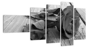 Obraz černobílé růže (110x60cm)