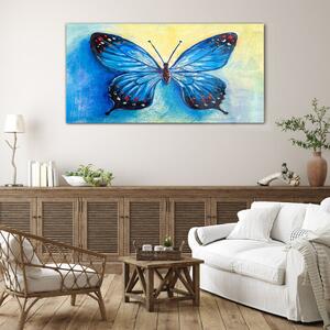 Obraz na skle Obraz na skle hmyz červa motýl