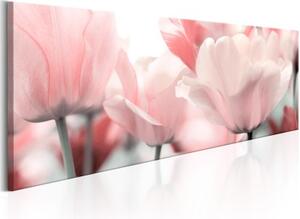 Obraz - Pink Tulips