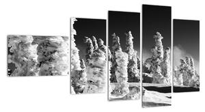 Obraz - zimní hory (110x60cm)