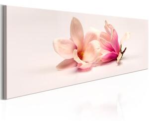Obraz - Beautiful Magnolias