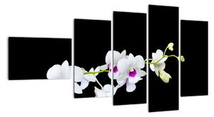 Květina - obraz (110x60cm)