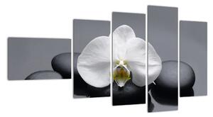 Květ orchideje - moderní obraz (110x60cm)