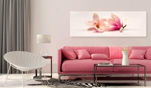 Obraz - Beautiful Magnolias