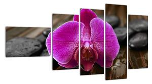 Obraz orchideje (110x60cm)