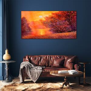 Obraz na skle Obraz na skle Lesní řeka slunce krajina