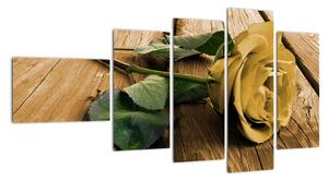 Obrazy květin - růže (110x60cm)