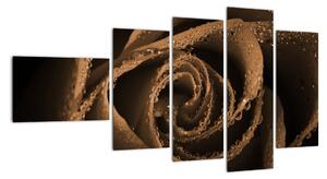 Detail růže - obraz (110x60cm)