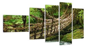 Obraz - most v přírodě (110x60cm)