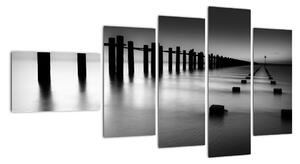 Černobílé moře - obraz (110x60cm)