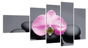 Květ orchideje - obraz (110x60cm)