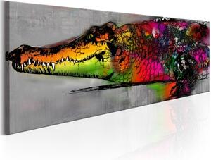 Obraz - Colourful Alligator