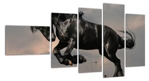 Černý kůň, obraz (110x60cm)
