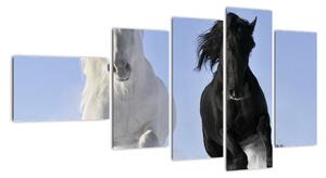 Koně, obraz (110x60cm)
