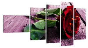 Ležící růže - obraz (110x60cm)