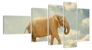 Slon na laně, obraz (110x60cm)