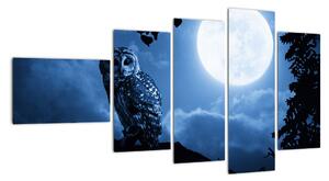Noční příroda, obrazy (110x60cm)