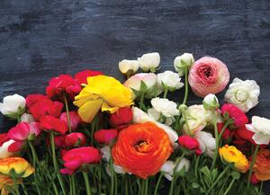 Malvis ® Tapeta Řezané květiny Vel. (šířka x výška): 288 x 200 cm